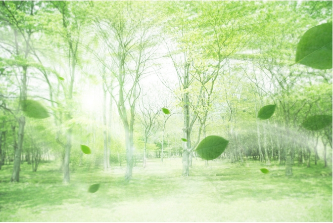 微信截圖_20240129084927.png