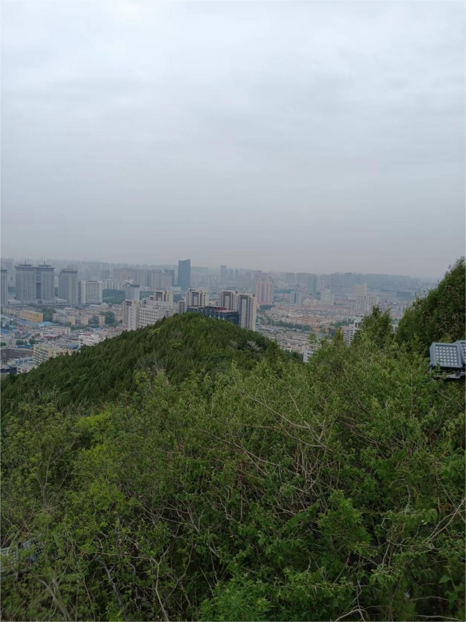 茂嶺山遠(yuǎn)看.png